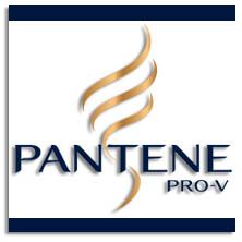 Items of brand PANTENE in TODOENTRANSPORTE