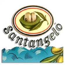 Items of brand SANTANGELO in TODOENTRANSPORTE