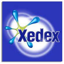 Items of brand XEDEX in TODOENTRANSPORTE